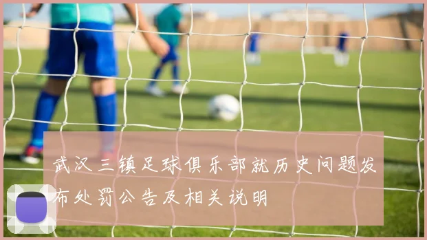 武汉三镇足球俱乐部就历史问题发布处罚公告及相关说明